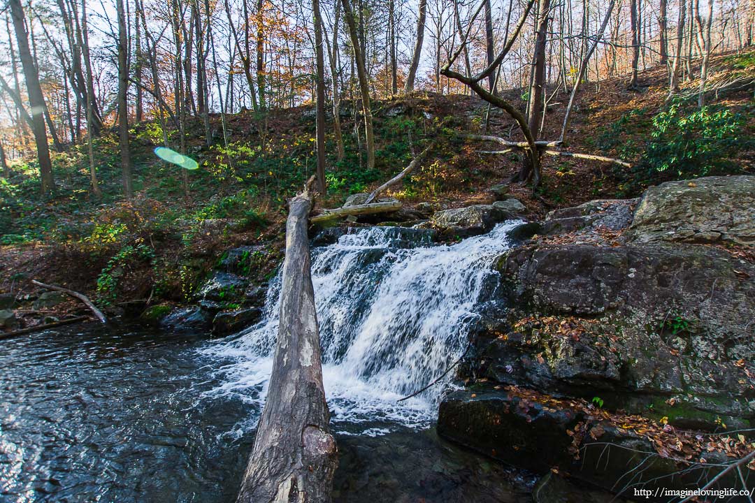 dunnfield falls